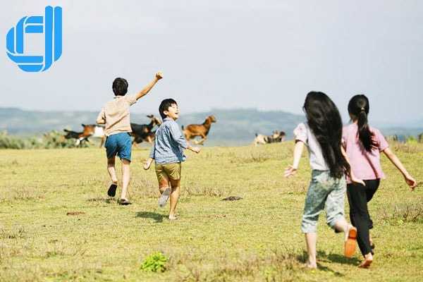 Kinh nghiệm du lịch Phú Yên tìm dấu chân địa đàng nơi Bãi Xép xinh đẹp