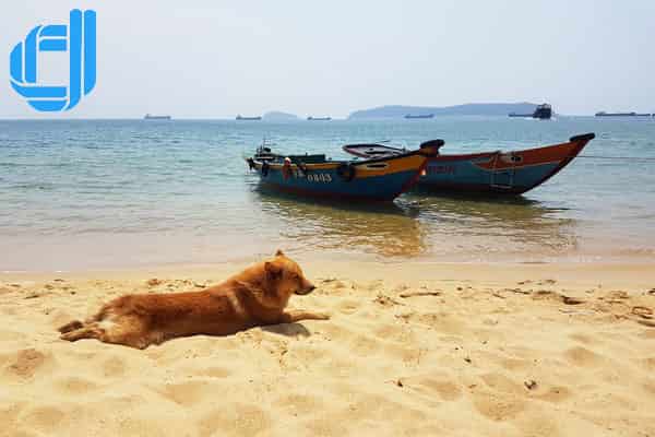 lịch trình tour đà nẵng 4 ngày 3 đêm cù lao chàm