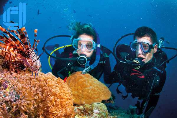 Tour du lịch Đà Nẵng đi Hội An Cù Lao Chàm 3 ngày 2 đêm