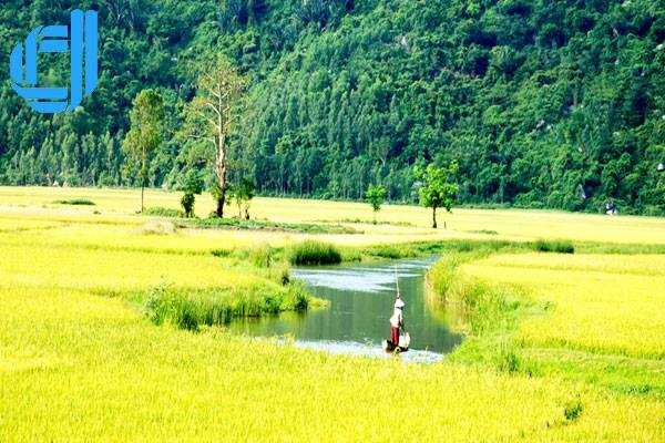 Tour Đà Nẵng Phú Yên 3 ngày 2 đêm khởi hành hằng ngày trọn gói