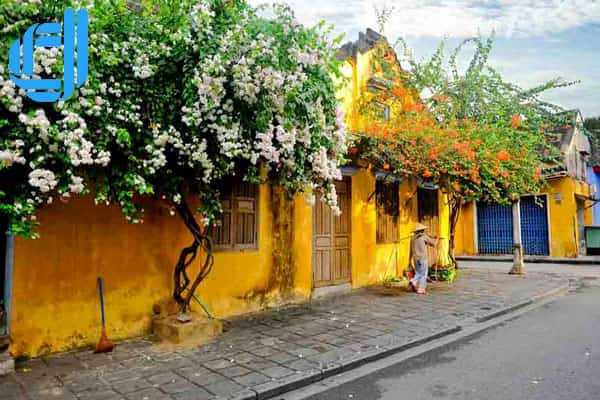 Tour Hội An đi Bà Nà 1 ngày | Tour đi Bà Nà từ Hội An - D2tour