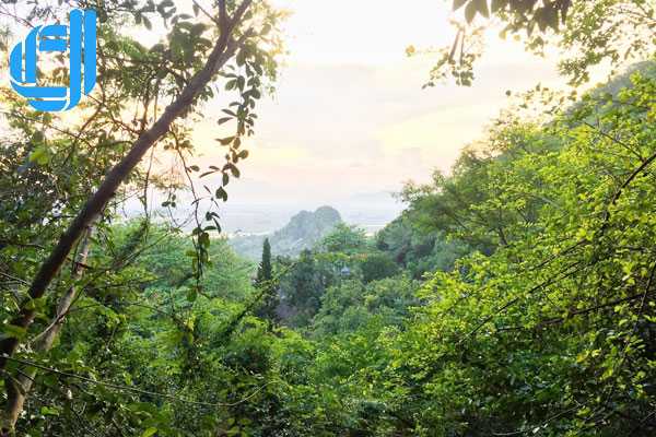 Tour du lịch Đà Nẵng 3 ngày 2 đêm xem bắn pháo hoa quốc tế 2017