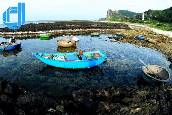 Tour du lịch Đà Nẵng đi đảo Lý Sơn 2 ngày 1 đêm có đảo bé-D BLUE Travel & Team bonding