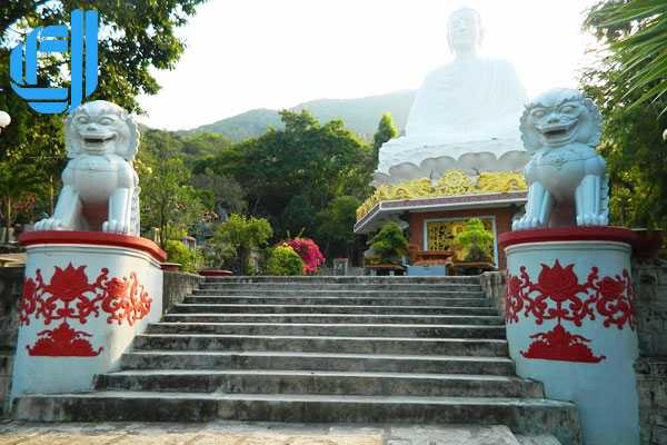 Tour du lịch Phú Yên từ Đà Nẵng 3 ngày 2 đêm trọn gói | D2tour